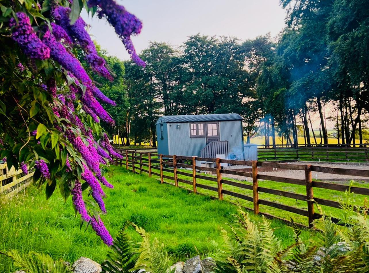 Herdie Hideaway - Shepherds Hut *